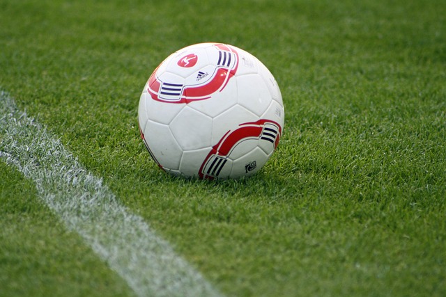 傳統強隊 傳統強隊