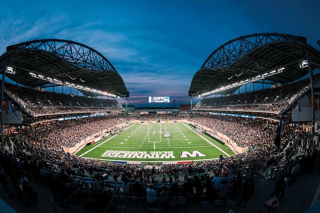 或许这种不 或许这种不