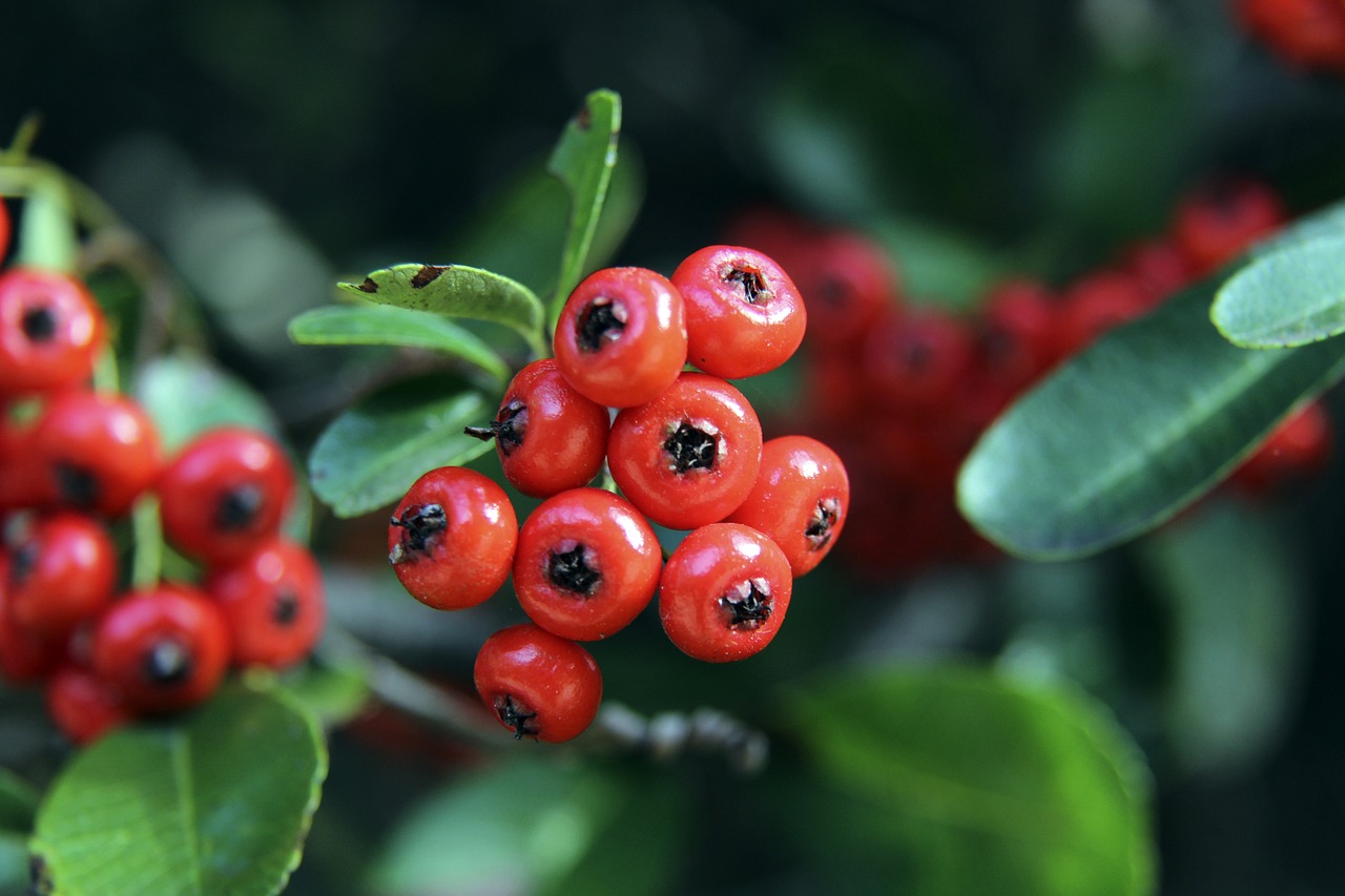 同的目标 同的目标