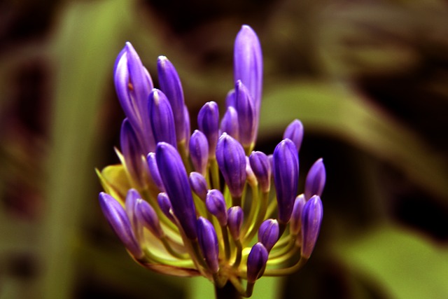 萨比策和特 萨比策和特